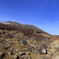 百園（ひゃくぞの）霊能者